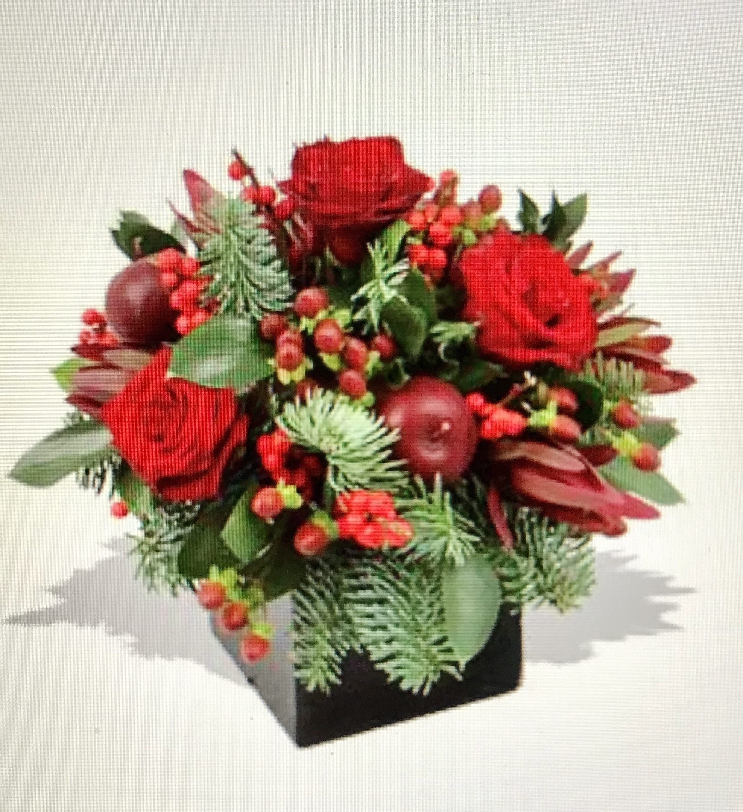 The Family Stone - A Heartwarming Holiday Classic from Your San Francisco Florist Bring the spirit of togetherness into your home with THE FAMILY STONE, a rich and bountiful arrangement designed by Jane's Roses. As a top-rated San Francisco Florist, we understand that holiday gatherings are defined by warmth and tradition. This artisanal design captures that essence through a lush, harvest-inspired palette, making it the perfect centerpiece for a family feast or a thoughtful gift for your favorite holiday host.  Deep Crimson and Harvest Harvest Tones The THE FAMILY STONE arrangement is a masterclass in seasonal depth, featuring a stunning array of textures:  Velvety Red Roses: Three premium deep-red roses stand as the heart of the design, symbolizing enduring love and holiday cheer.  Winter Berries &amp; Apples: Vibrant red hypericum berries and deep burgundy ornamental apples add a festive, bountiful feel.  Fresh Evergreen Boughs: Fragrant sprigs of pine and fir provide a natural, forest-fresh scent and a classic winter backdrop.  Textured Protea Accents: Sharp, architectural protea leaves in deep wine tones offer a modern, sophisticated edge to the rustic elements.  Artisanal Quality for Your Holiday Table Set in a sleek black cube vessel, the compact and dense styling ensures that every guest has a perfect view of these premium blooms. Trust Jane's Roses, your dedicated San Francisco Florist, to deliver a gift that feels as timeless and cherished as a family tradition.