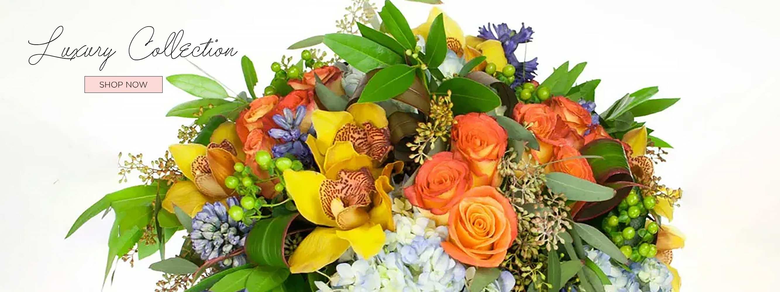 Boca Raton Florist SameDay Flower Delivery Exceptional Flowers