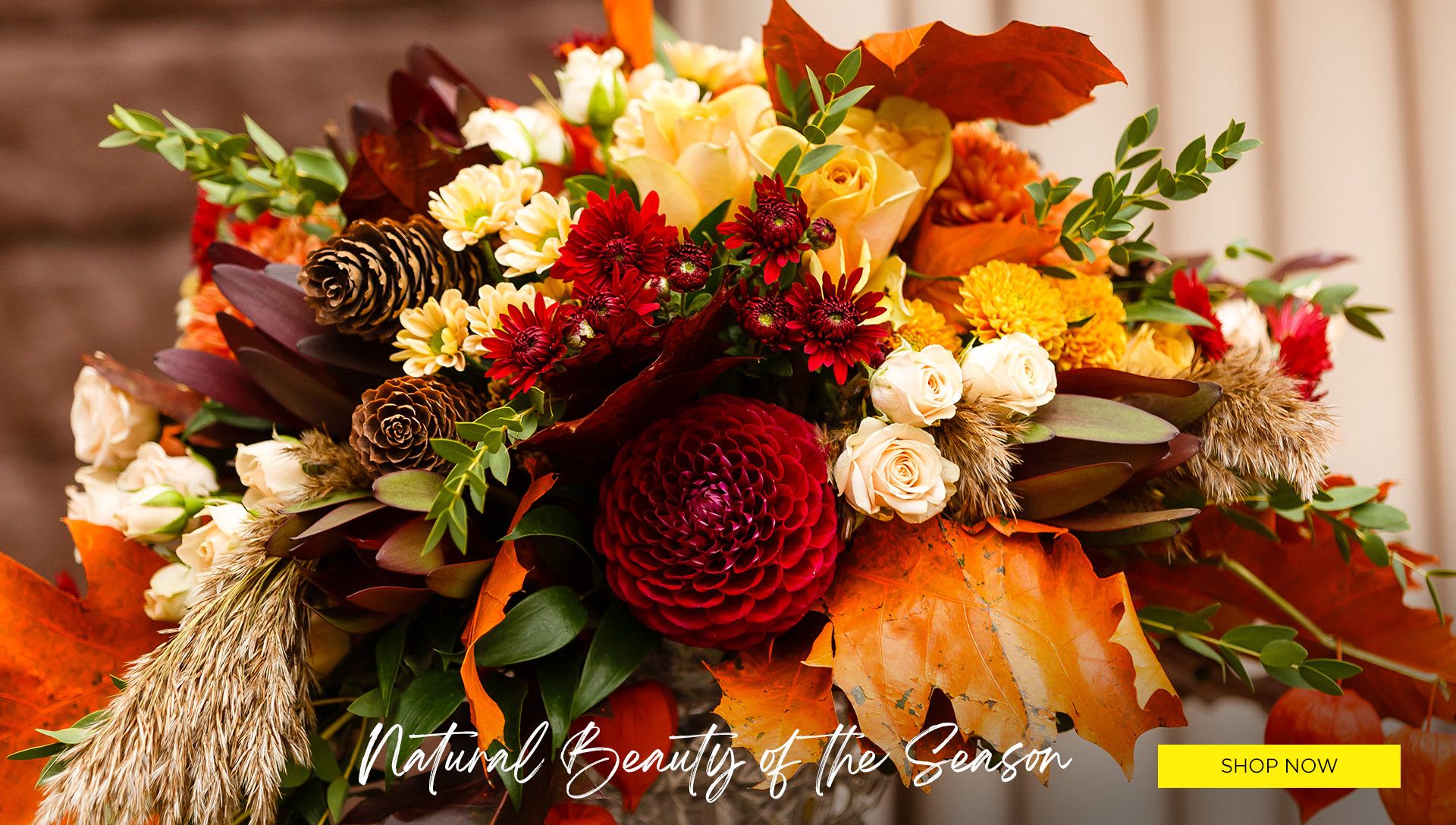 El Paso Florist | Flower Delivery by Wine & Blooms El Paso Florist