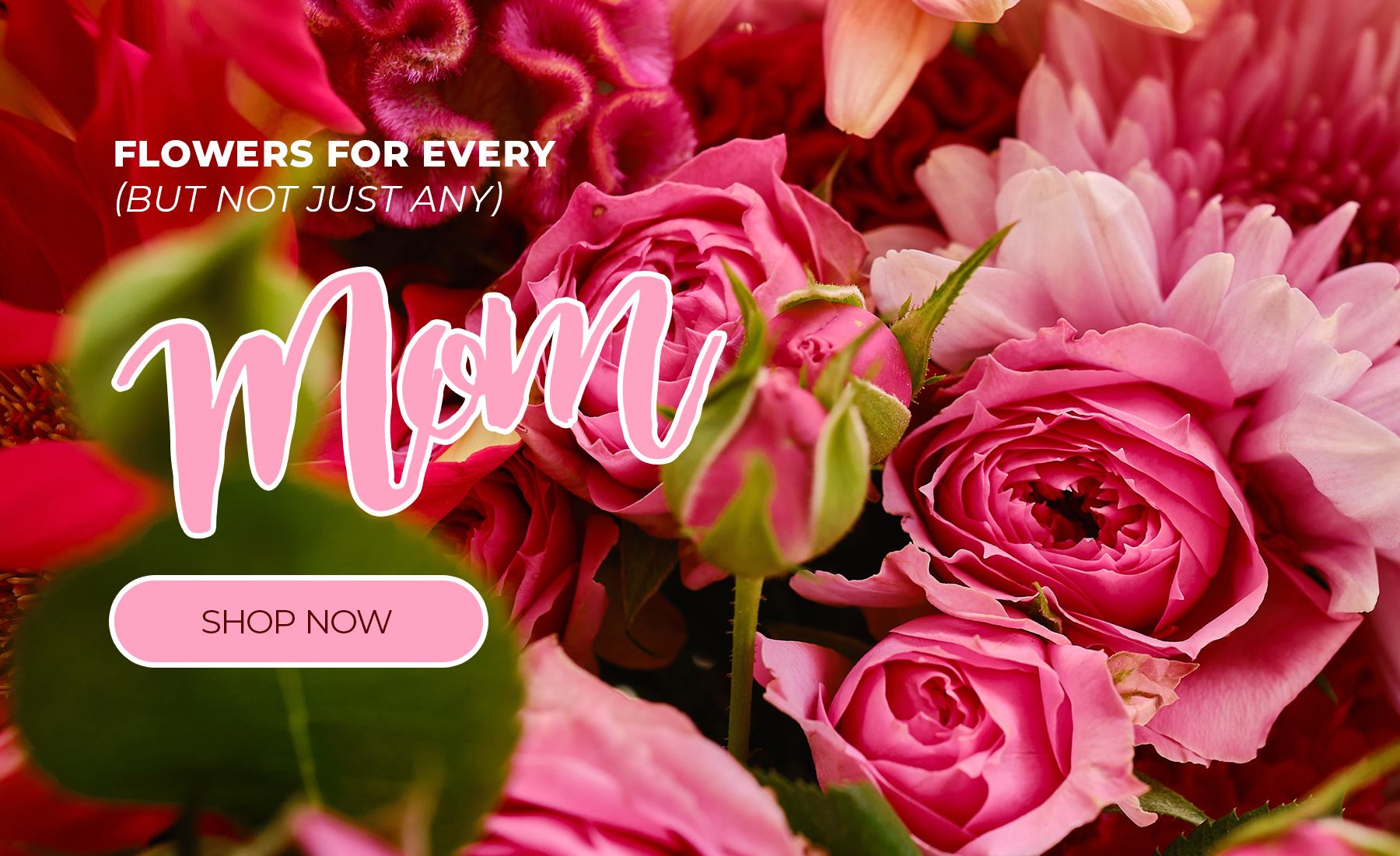 Worcester Florist Flower Delivery by Flowers From Frankie