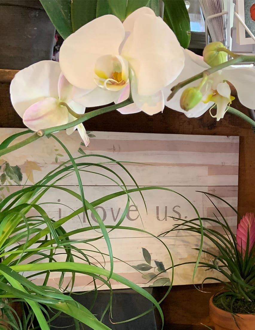 Uxbridge Florist Flower Delivery by 77 Blossom Shop