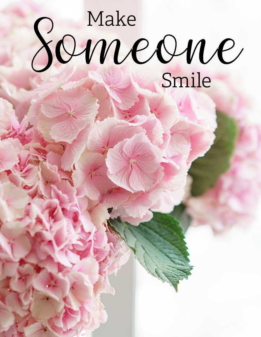 Worcester Florist Flower Delivery by Flowers From Frankie