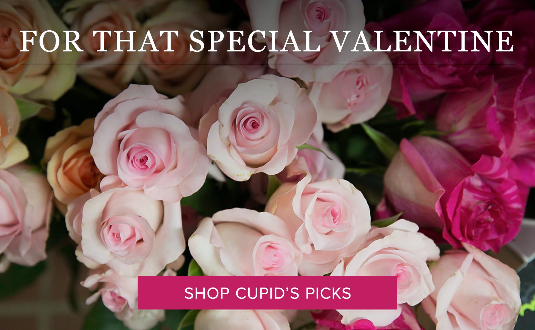 Melbourne Florist Flower Delivery by Buds & Bows Floral Design