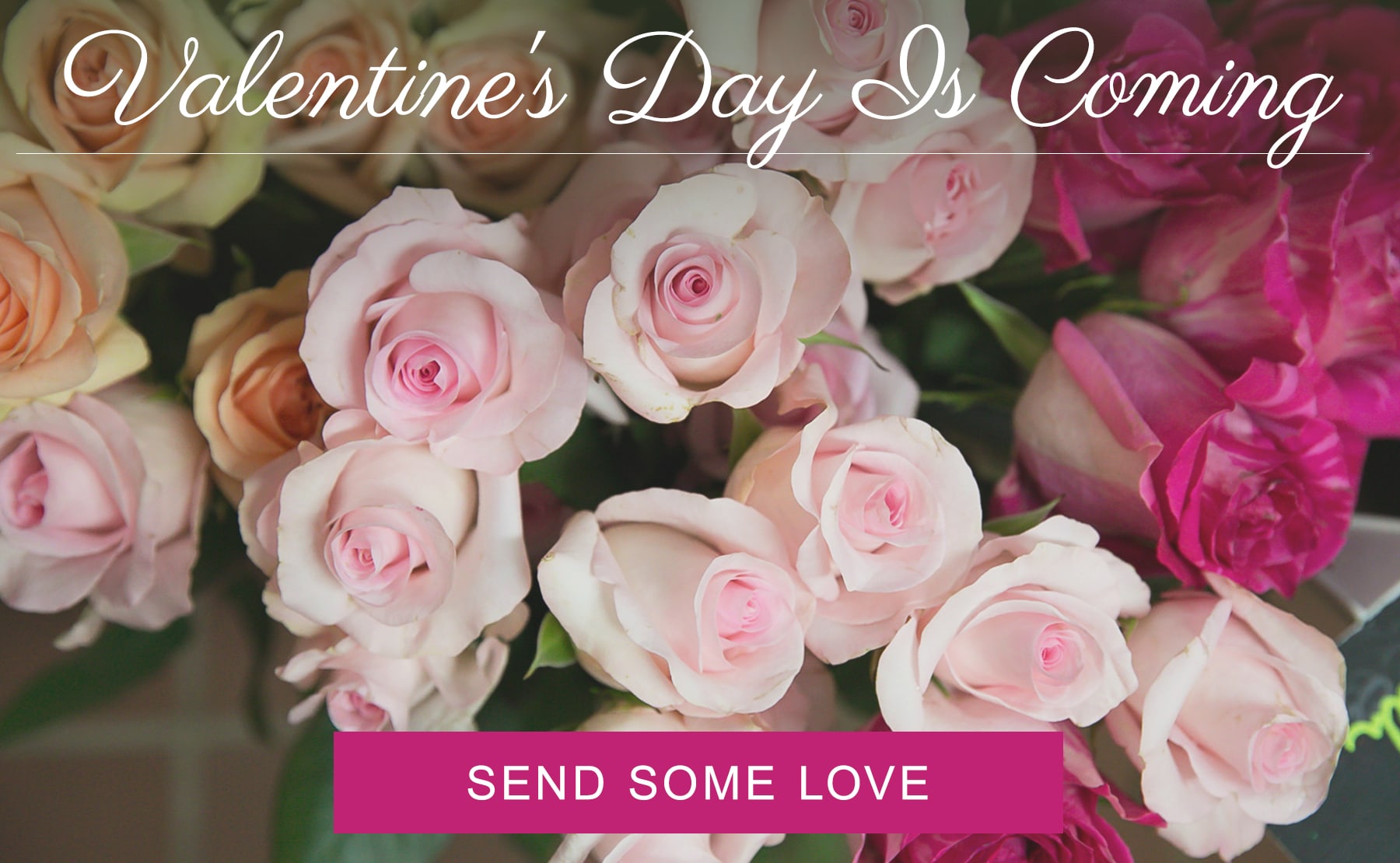 Elgin Florist Flower Delivery by The Floral Secret