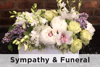 Sympathy and Funeral flowers