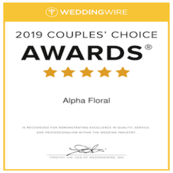 2019 wedding wire couple's choice awards