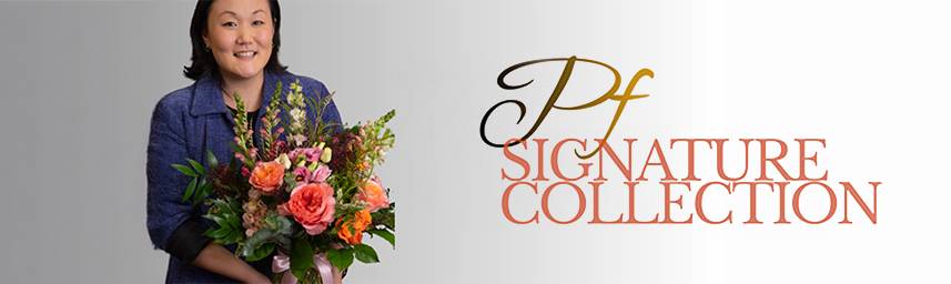signature collection