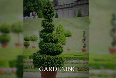 gardening