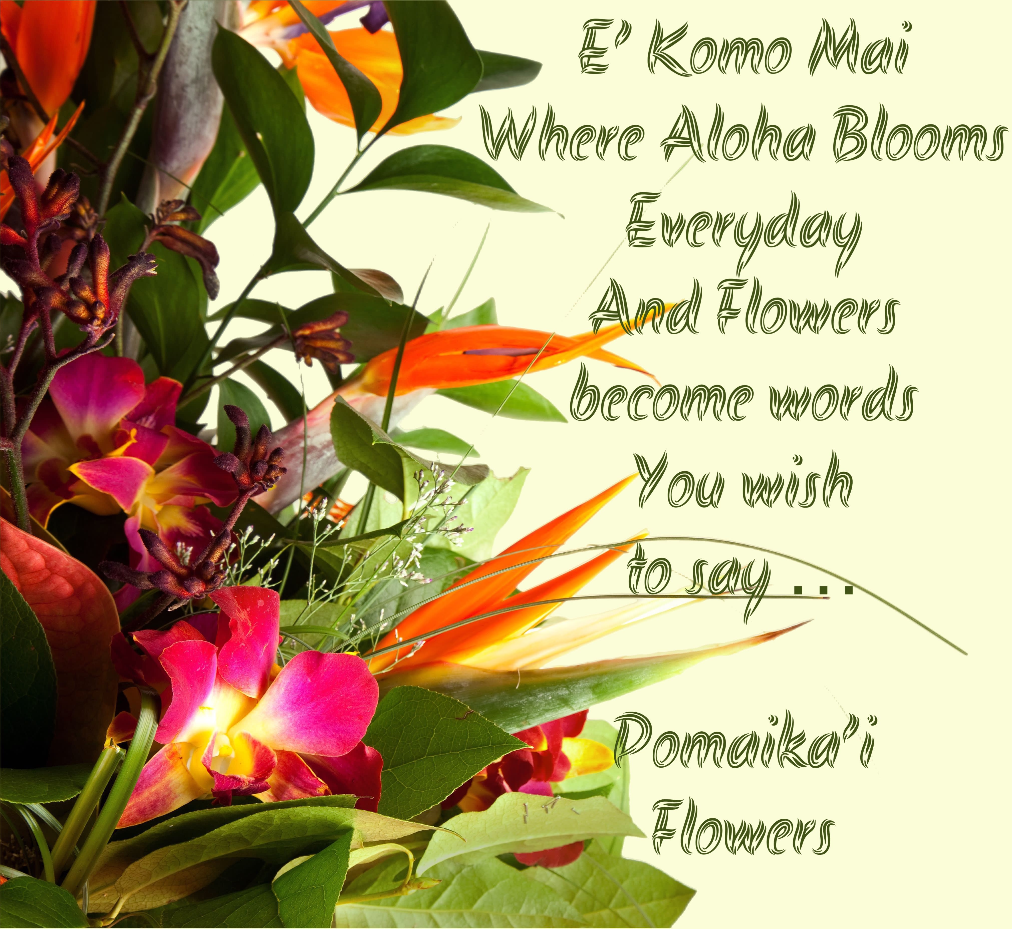 Kailua Florist Flower Delivery by Pomaikai Flowers