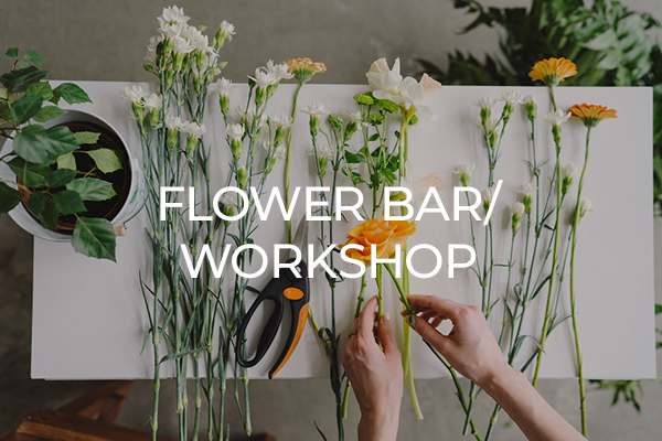 Flower Bar / Workshop