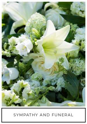 Sympathy and Funeral