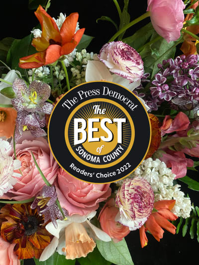 The Best of Sonoma County 2022