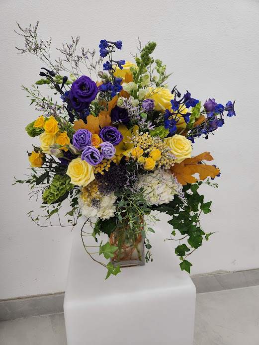 Blue and Yellow Party