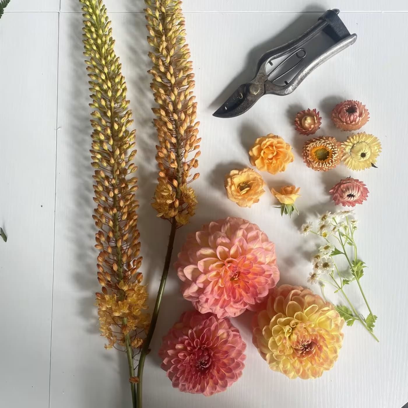 Private Floral Design Workshop (4 person Minimum)