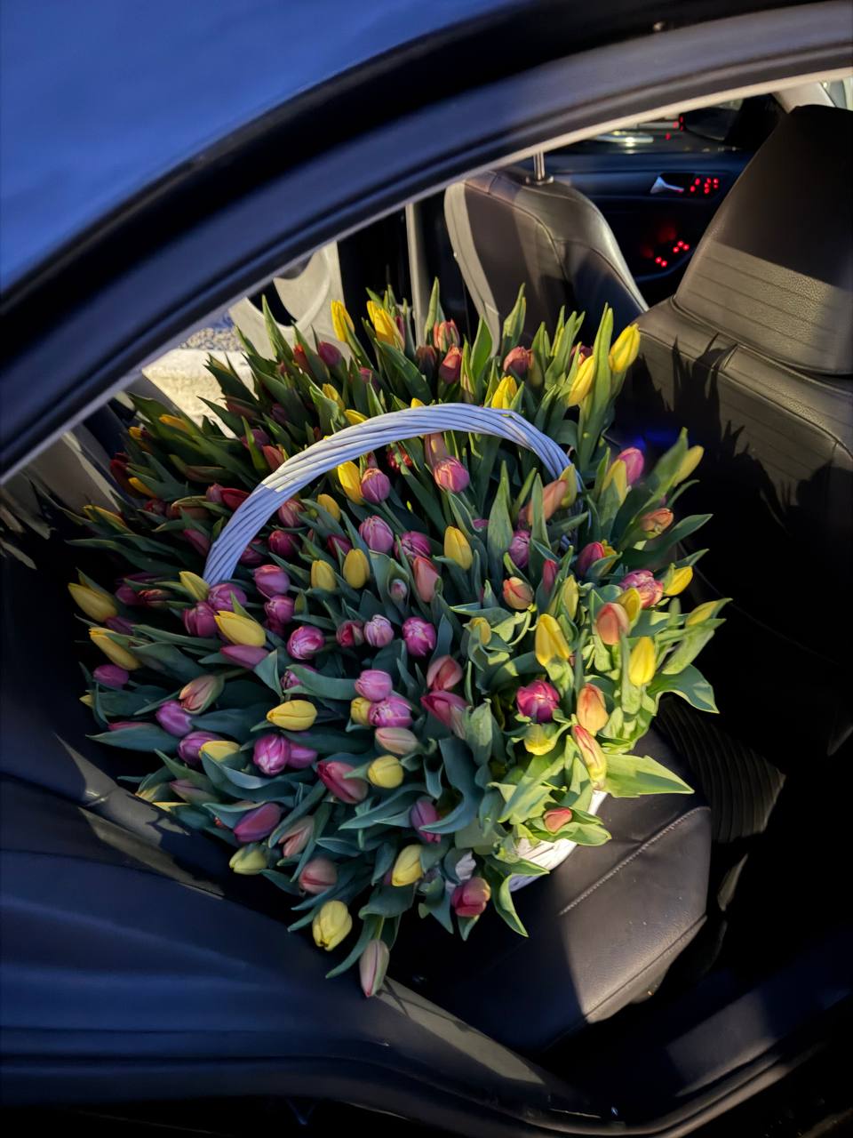 200 Tulips of Happiness