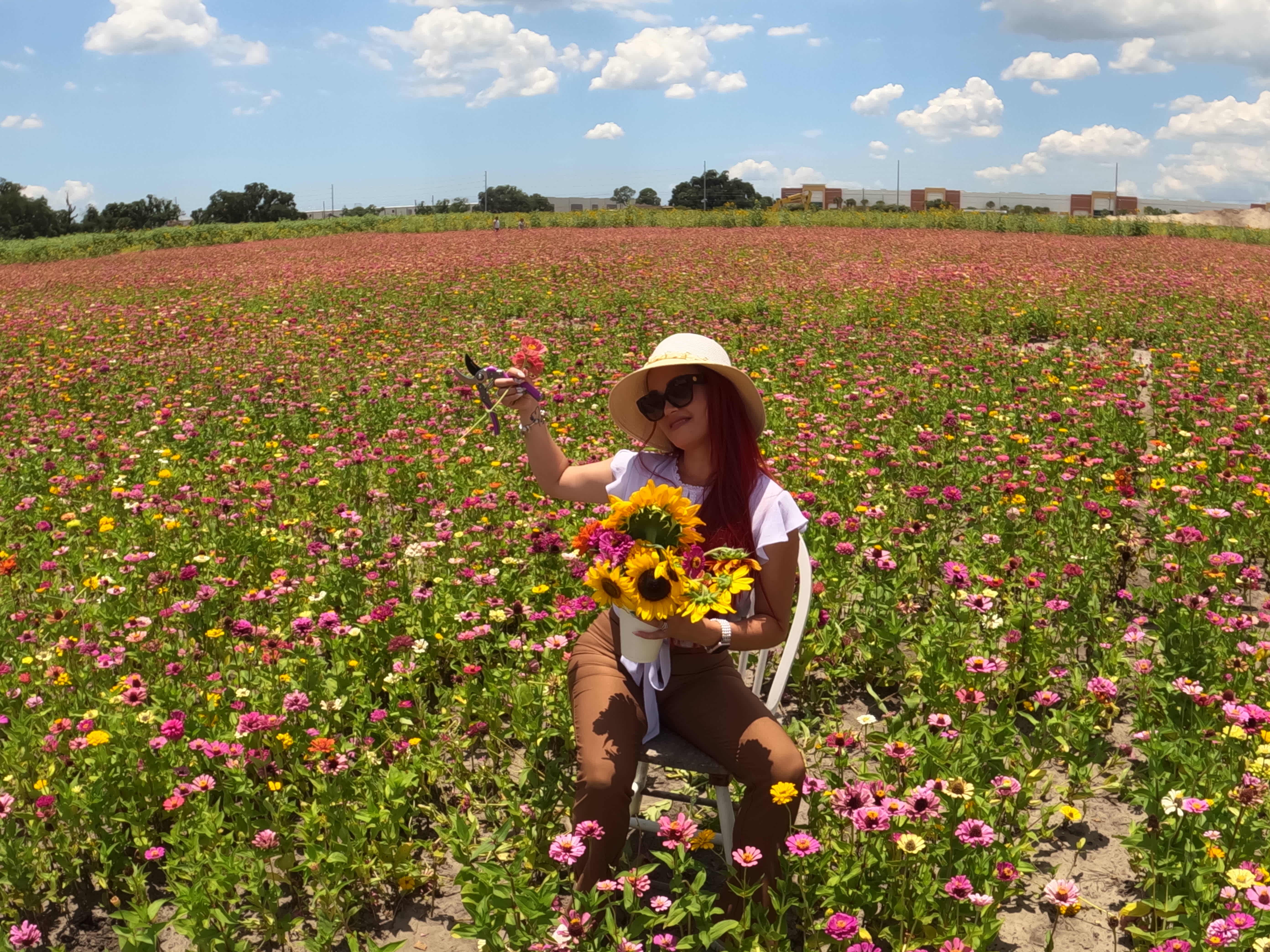 My passion for flowers