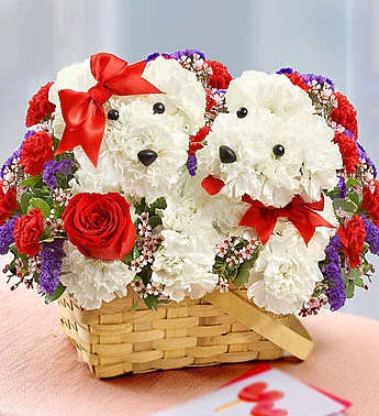 Yes, That’s a Puppy Made of Flowers—And Yes, We Deli
