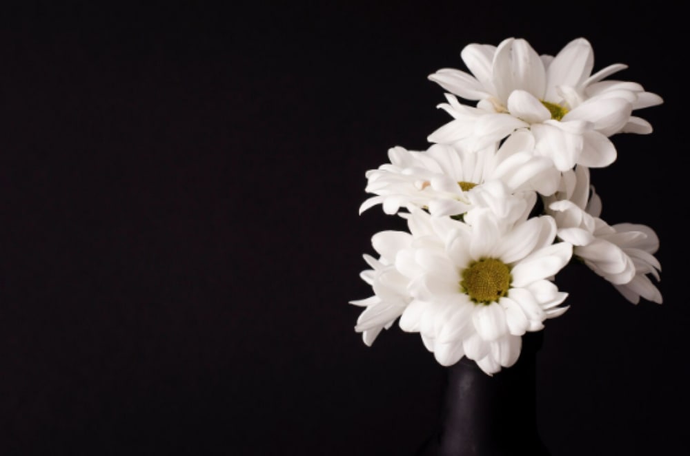 A Guide to Choosing Sympathy Flowers