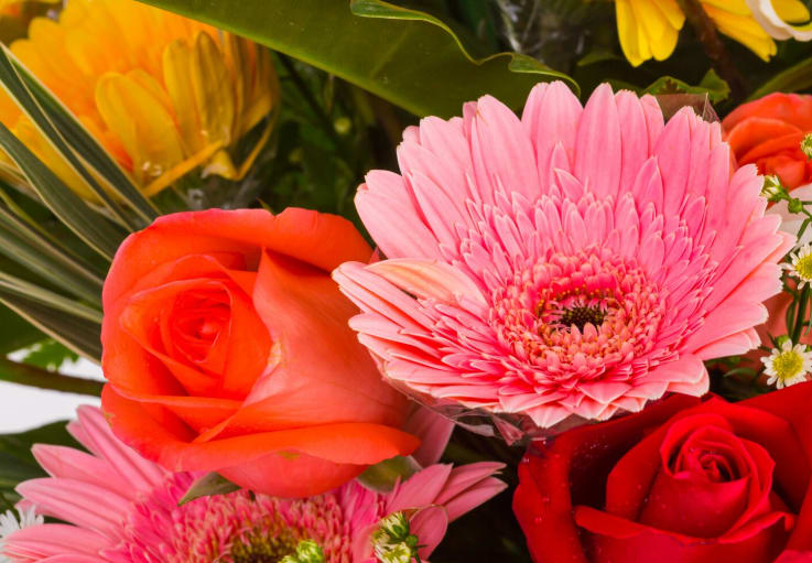 Powerful Flowers That Stand for Strength