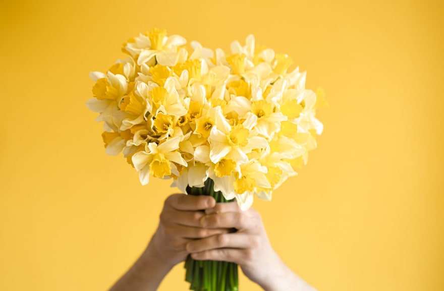 What Are the Best Flowers for People with Allergies?
