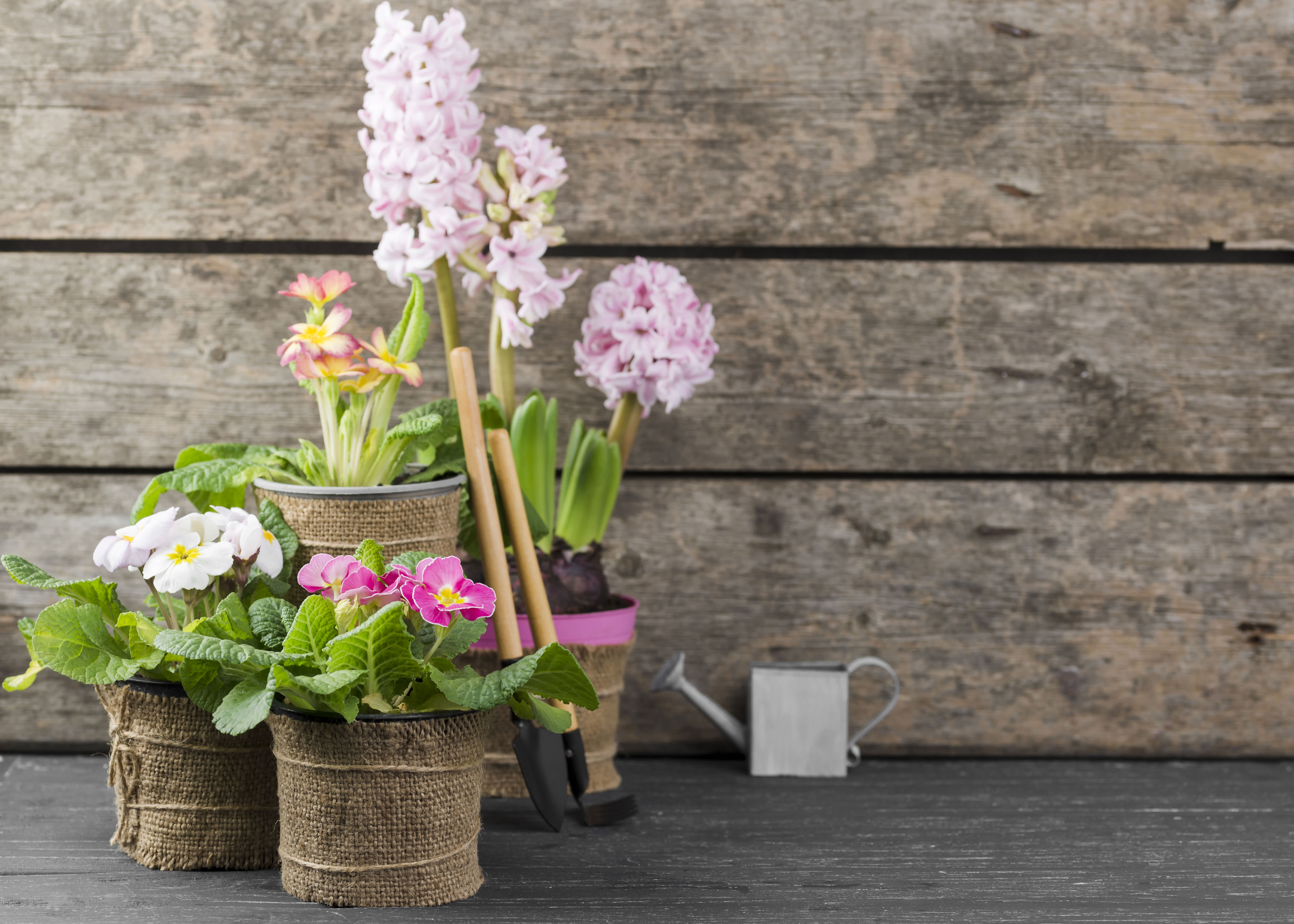 Flower Pot Arrangement Tips for Your Home Garden