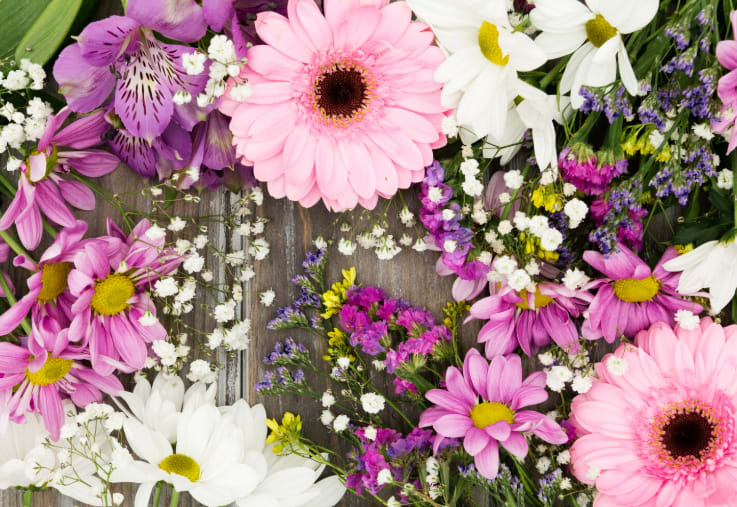 Flowers Known for Representing Growth