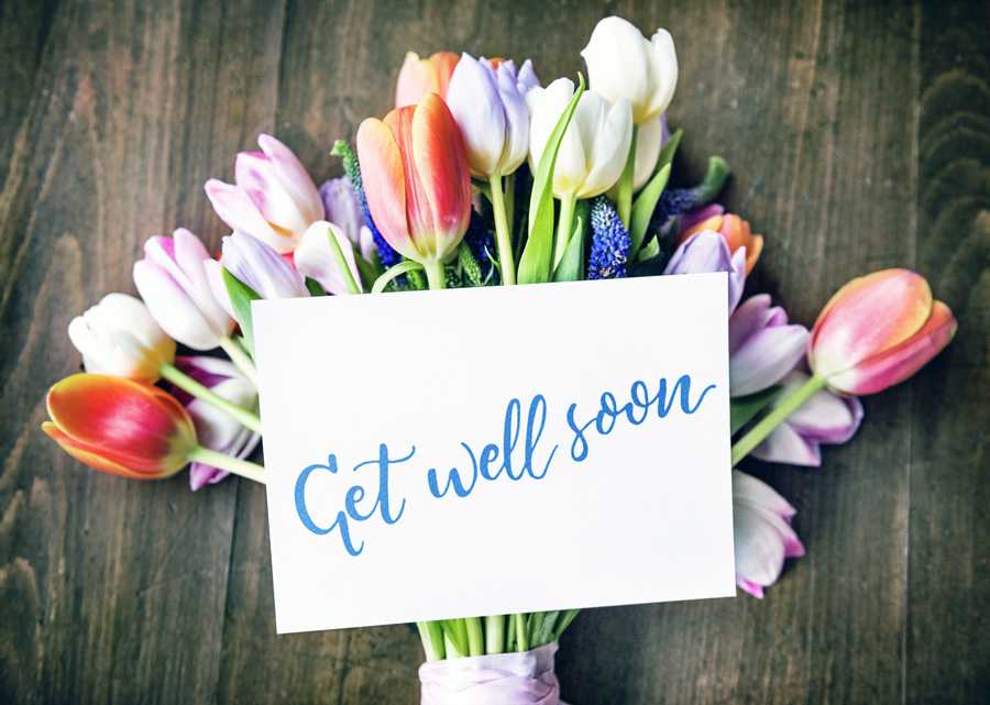 Best Flower Colors to Send for Get Well Wishes