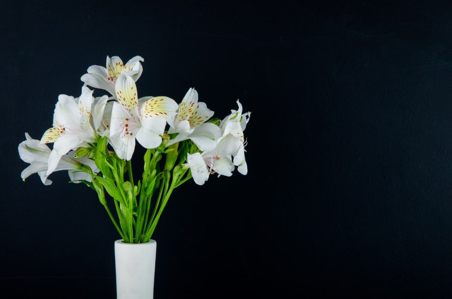 Understanding When to Send Sympathy Flowers 