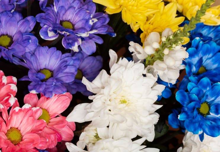 Flowers That Best Symbolize Remembrance