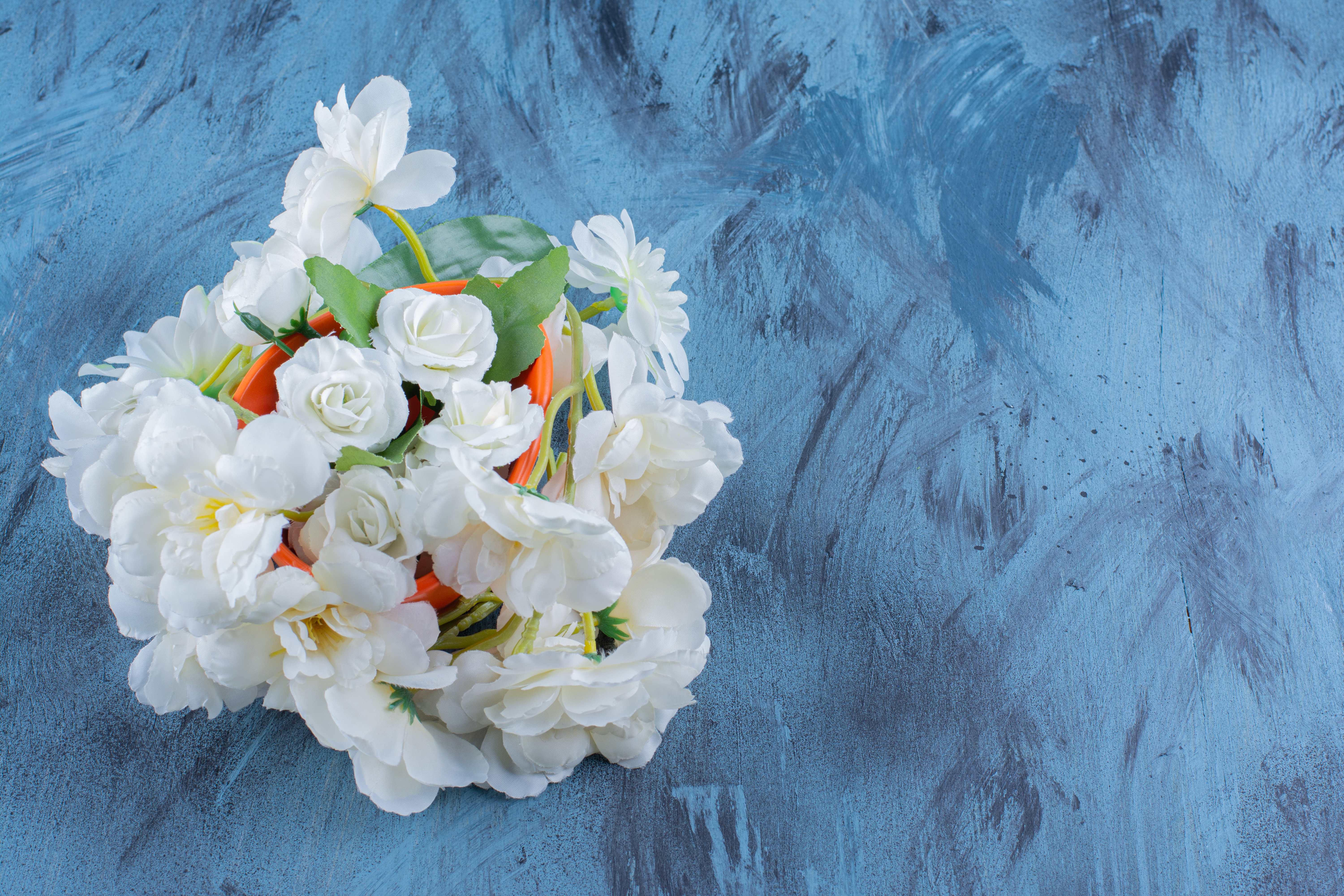 What Color Flowers Are Best for Sympathy?