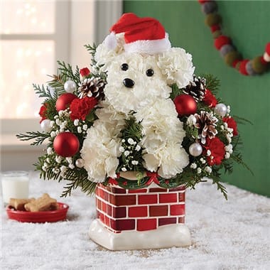 The Holiday Chimney Pup™: Houston’s Christmas Flower