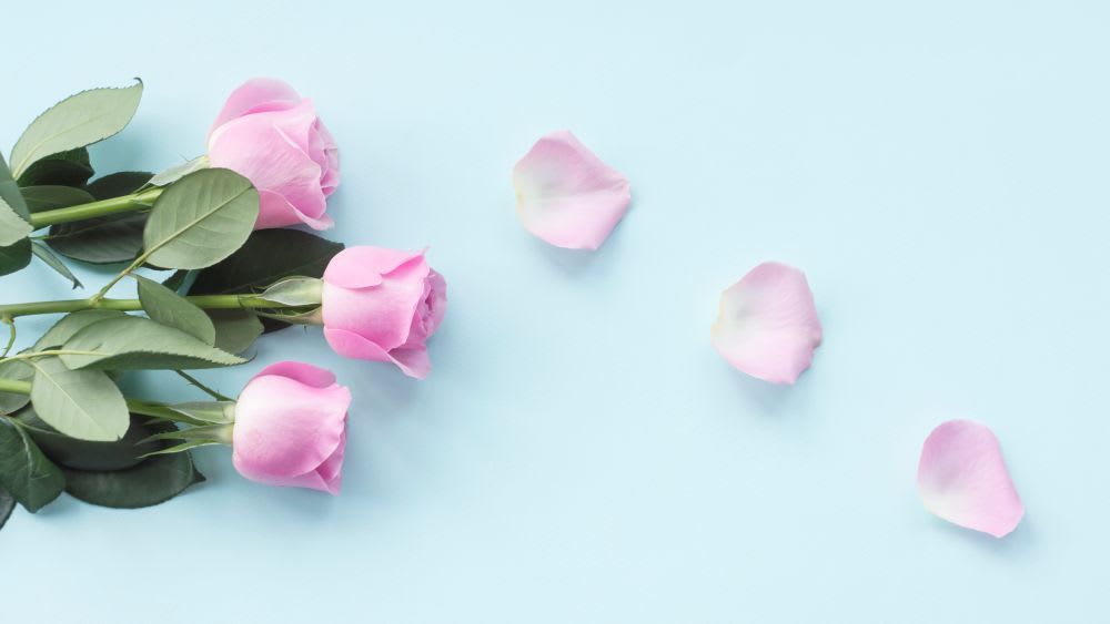 How to Dry Flower Petals at Home