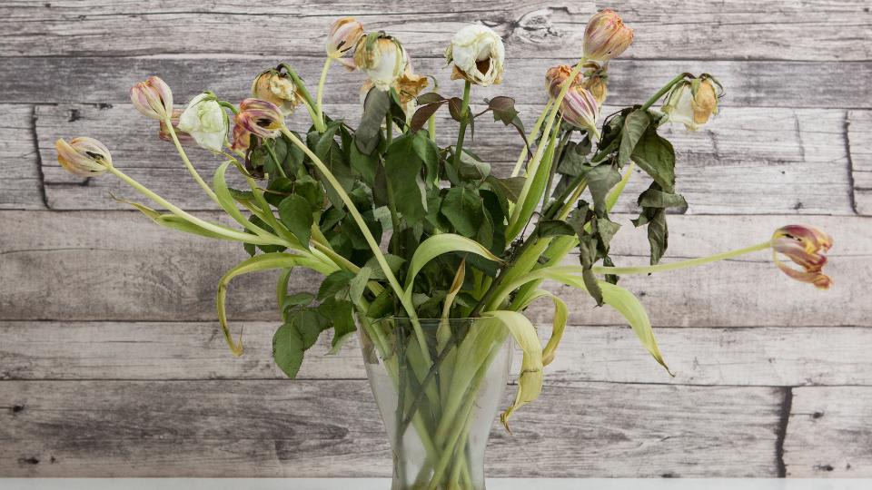 Eco-Friendly Ways to Dispose of Old Flowers