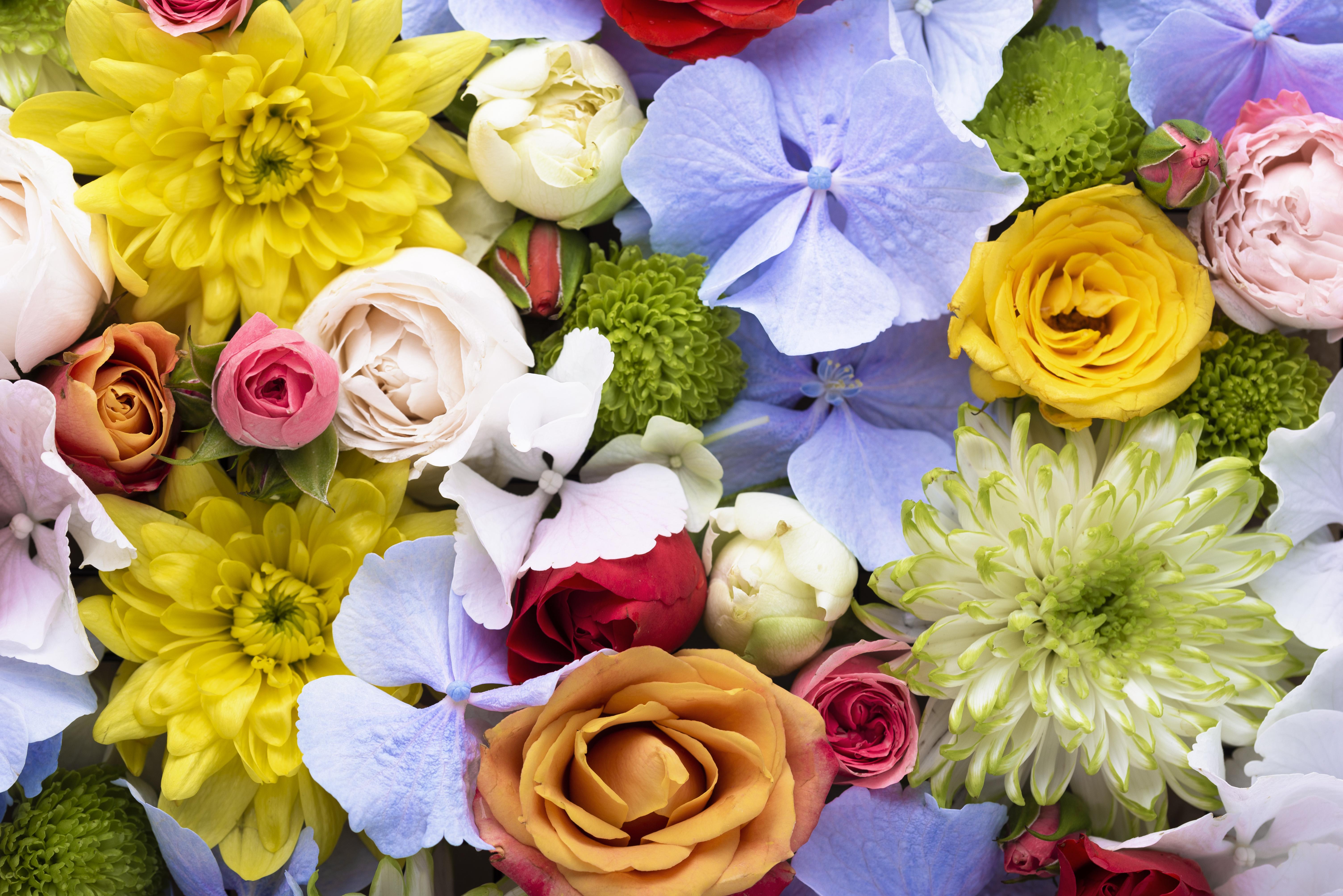 What Flowers Are Best for a Get Well Soon Message?