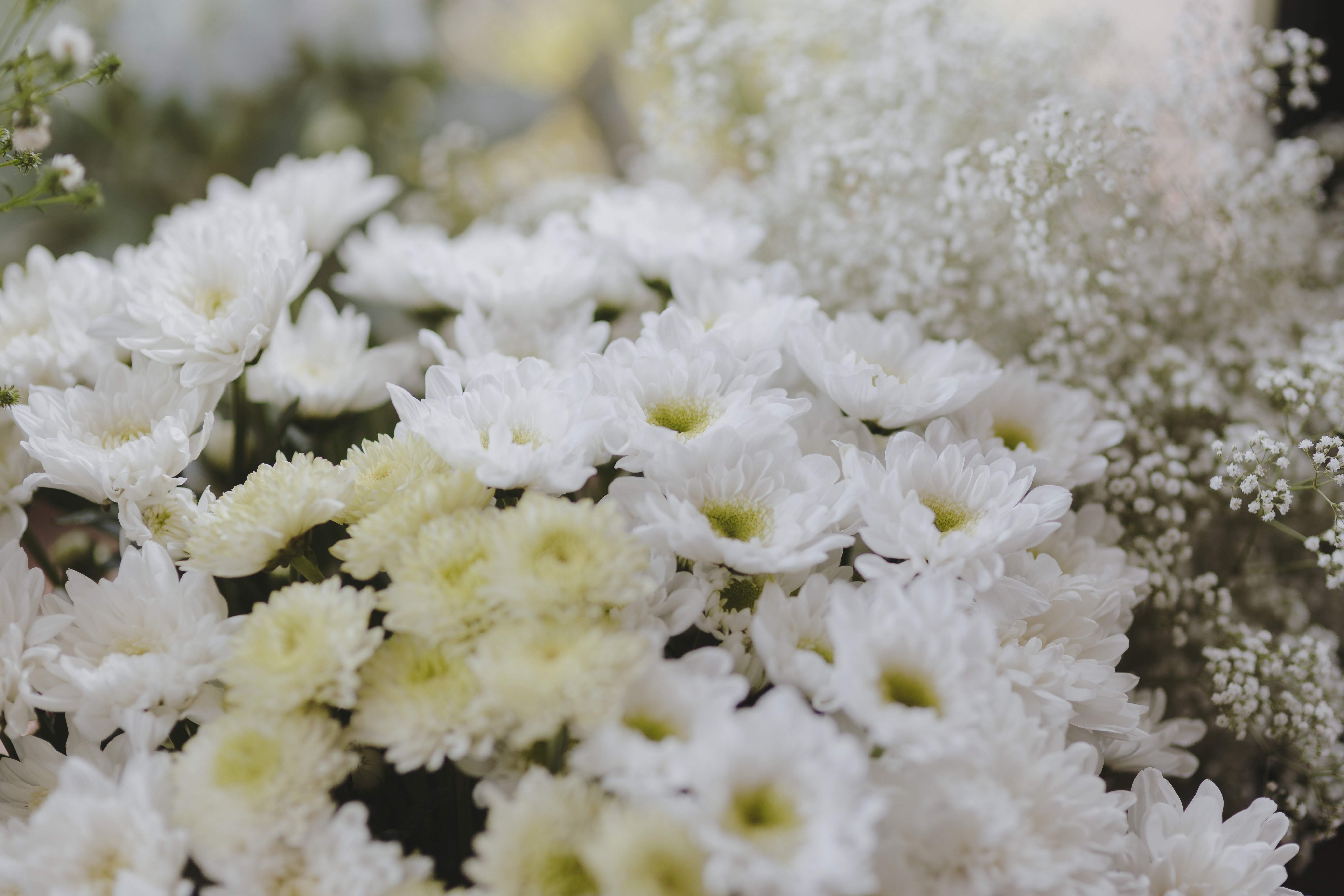 A Guide on How to Make a Funeral Flower Arrangement