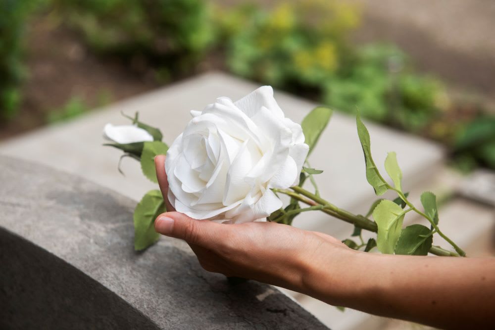 What Flowers Is for Sympathy?