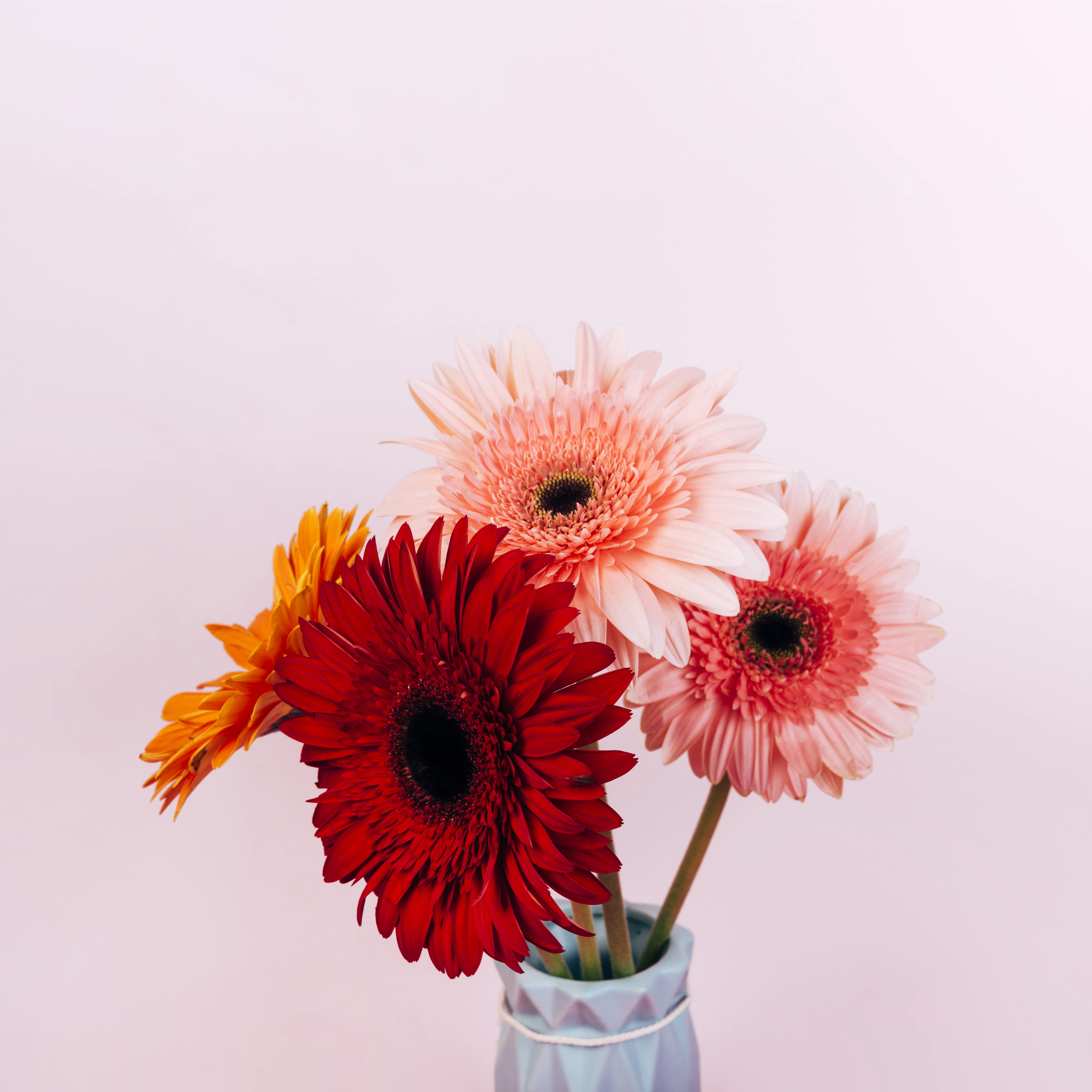 What Are the Best Flowers to Give for an Anniversary