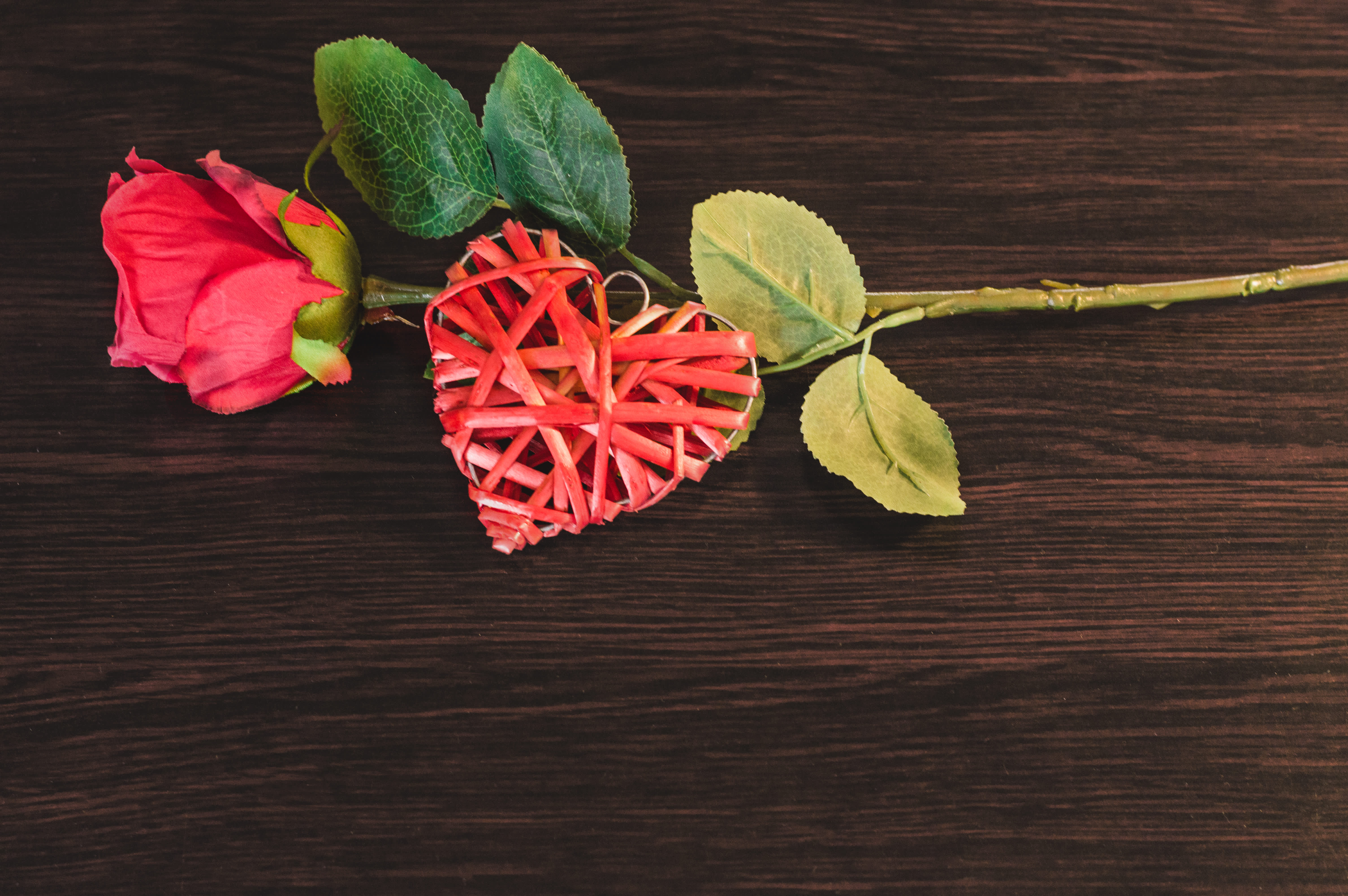 Which Flower Symbolizes Love