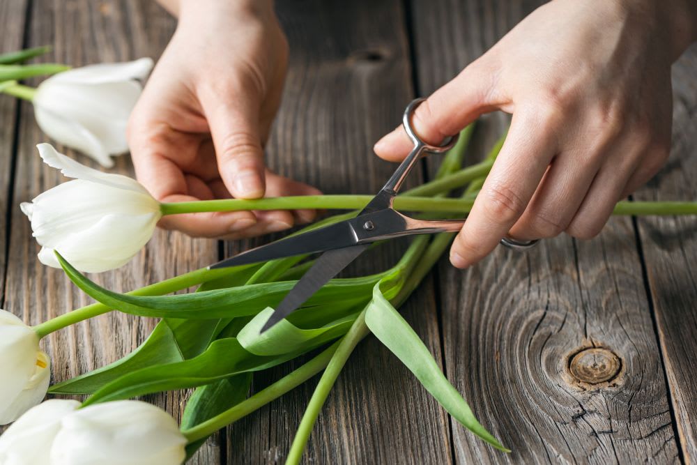 How to Cut Flower Stems for Longer-Lasting Blooms