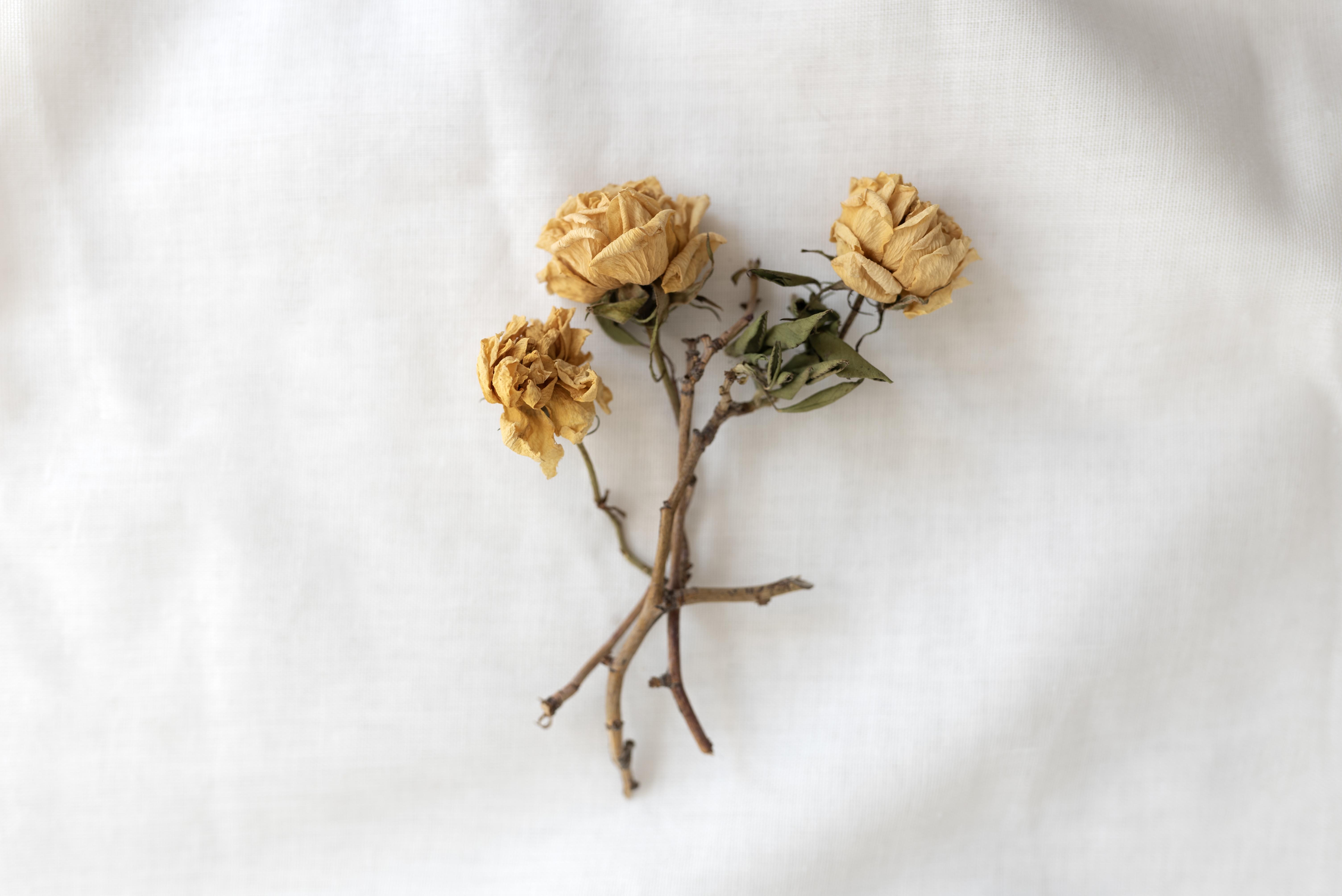How to Create a Dried Flower Arrangement That Lasts