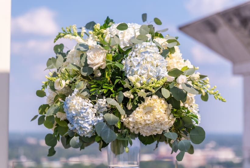Master Hydrangea Flower Arrangement Tips