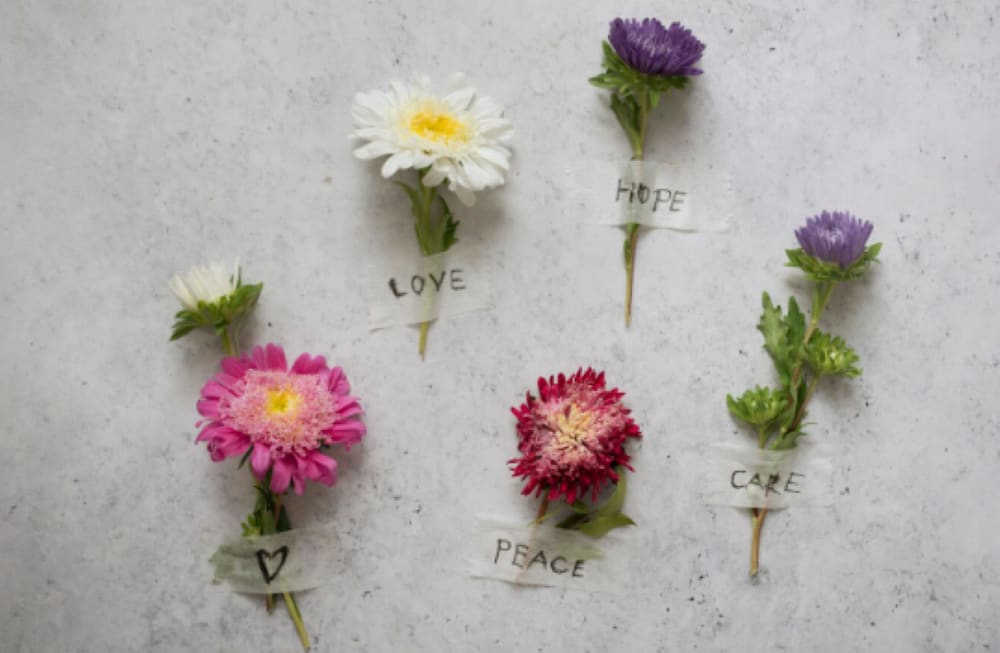 What Are Good Apology Flowers
