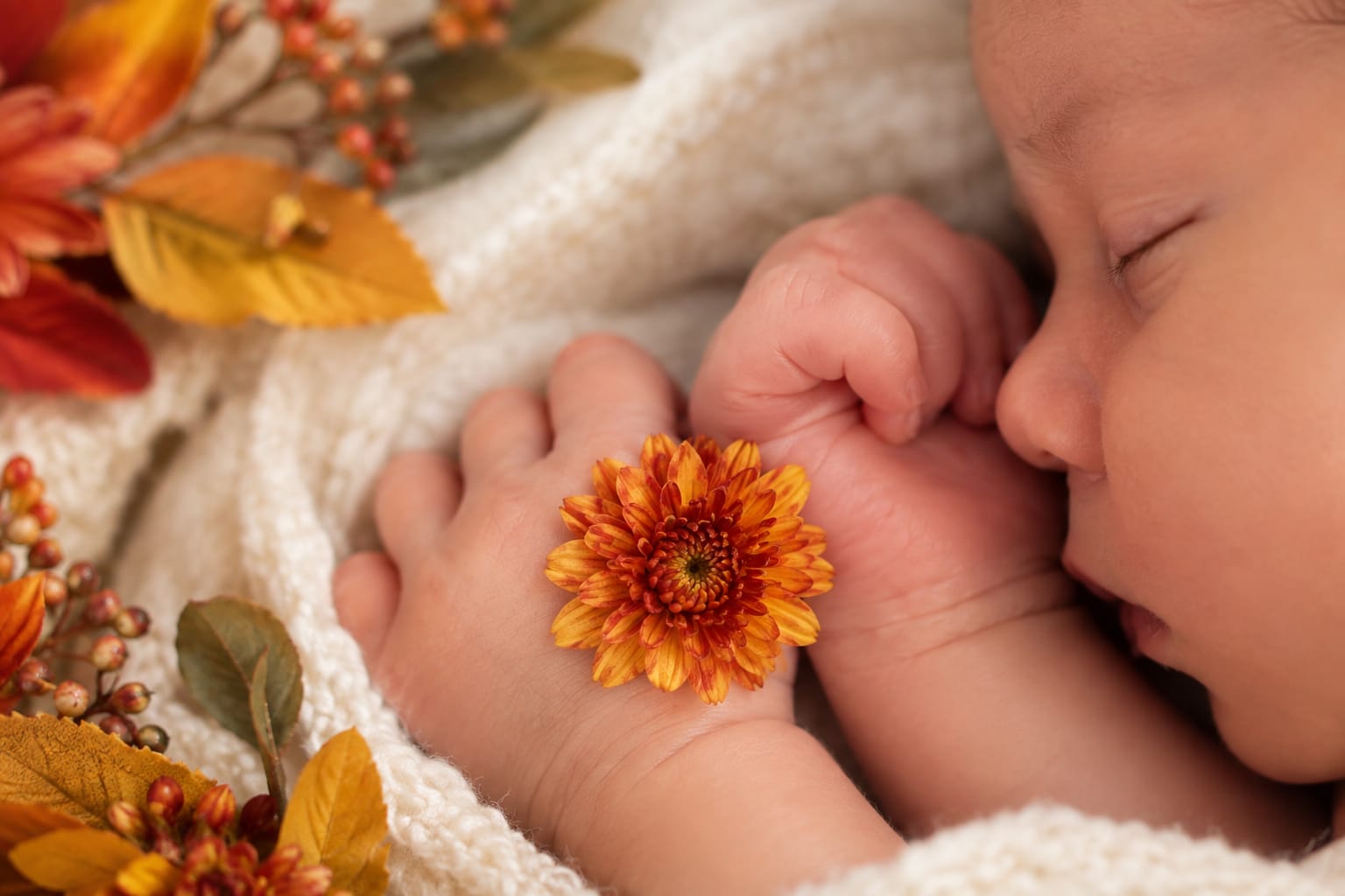 The Best Fall Flowers for a New Baby: Fresh Ideas and Same-Day Delivery in Tomball, TX