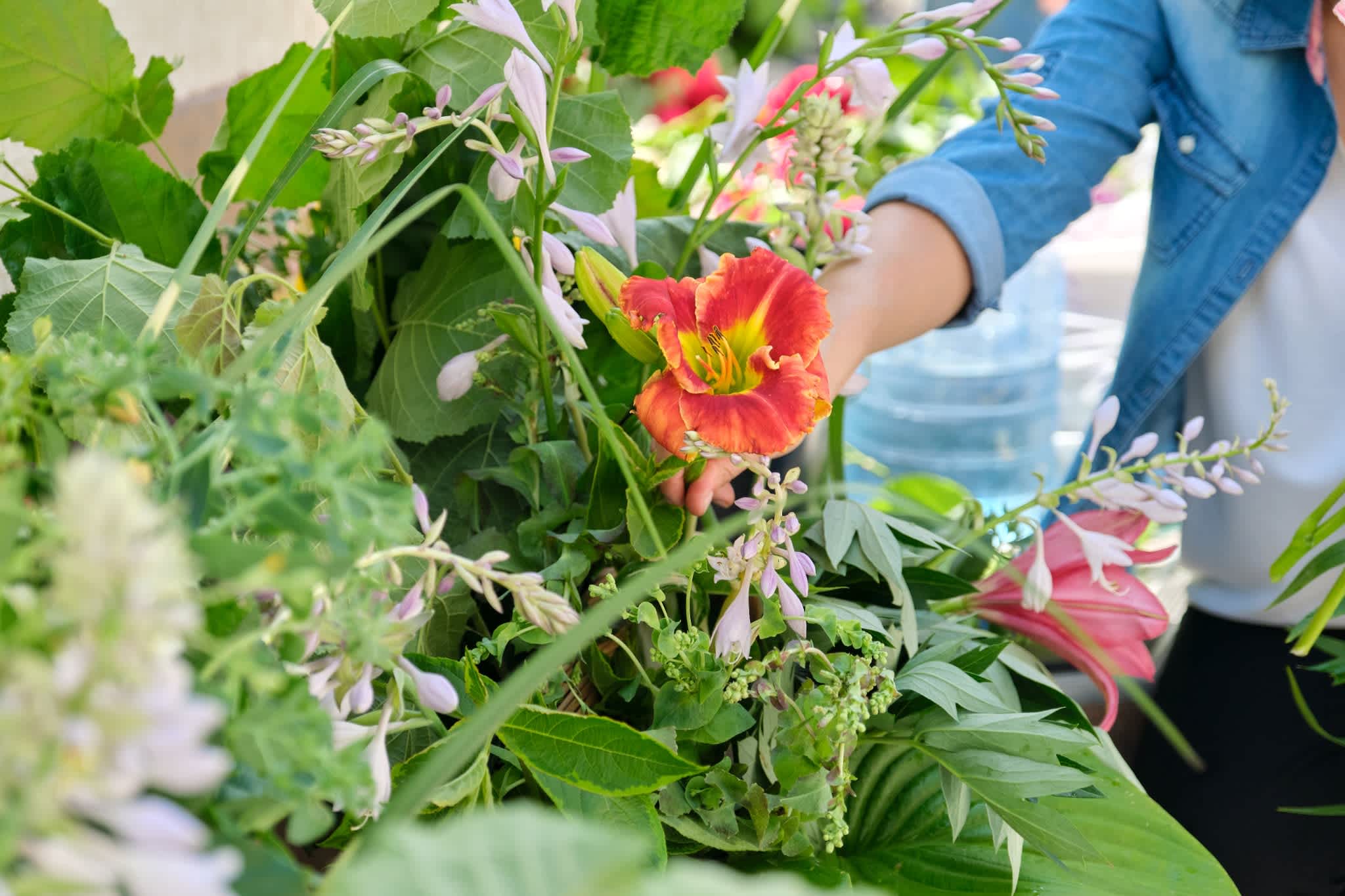 Top Heat-Resistant Flowers Houston Gardeners Choose for Summer Entertaining