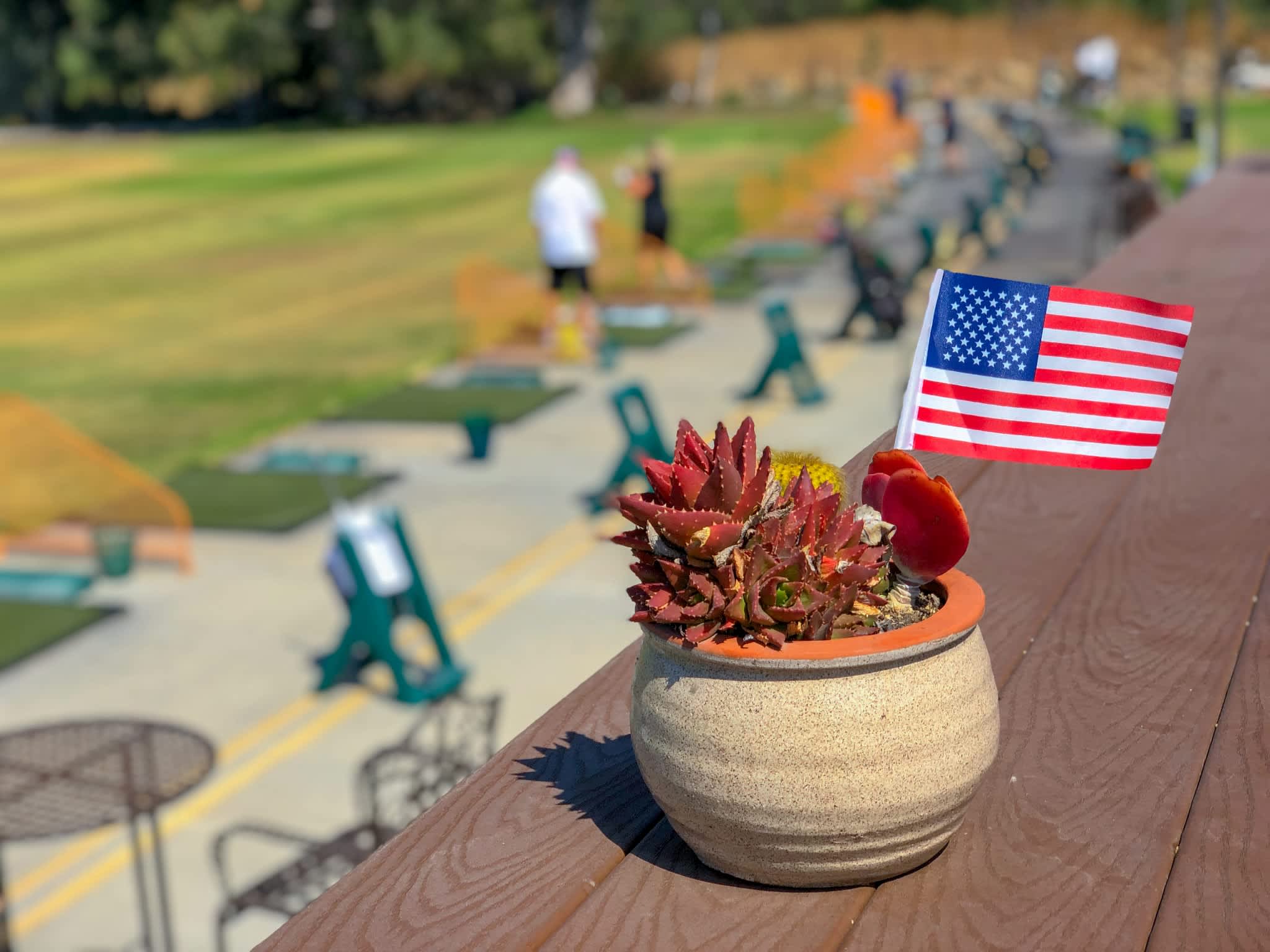 How to Choose Flowers for a Houston Fourth of July Party