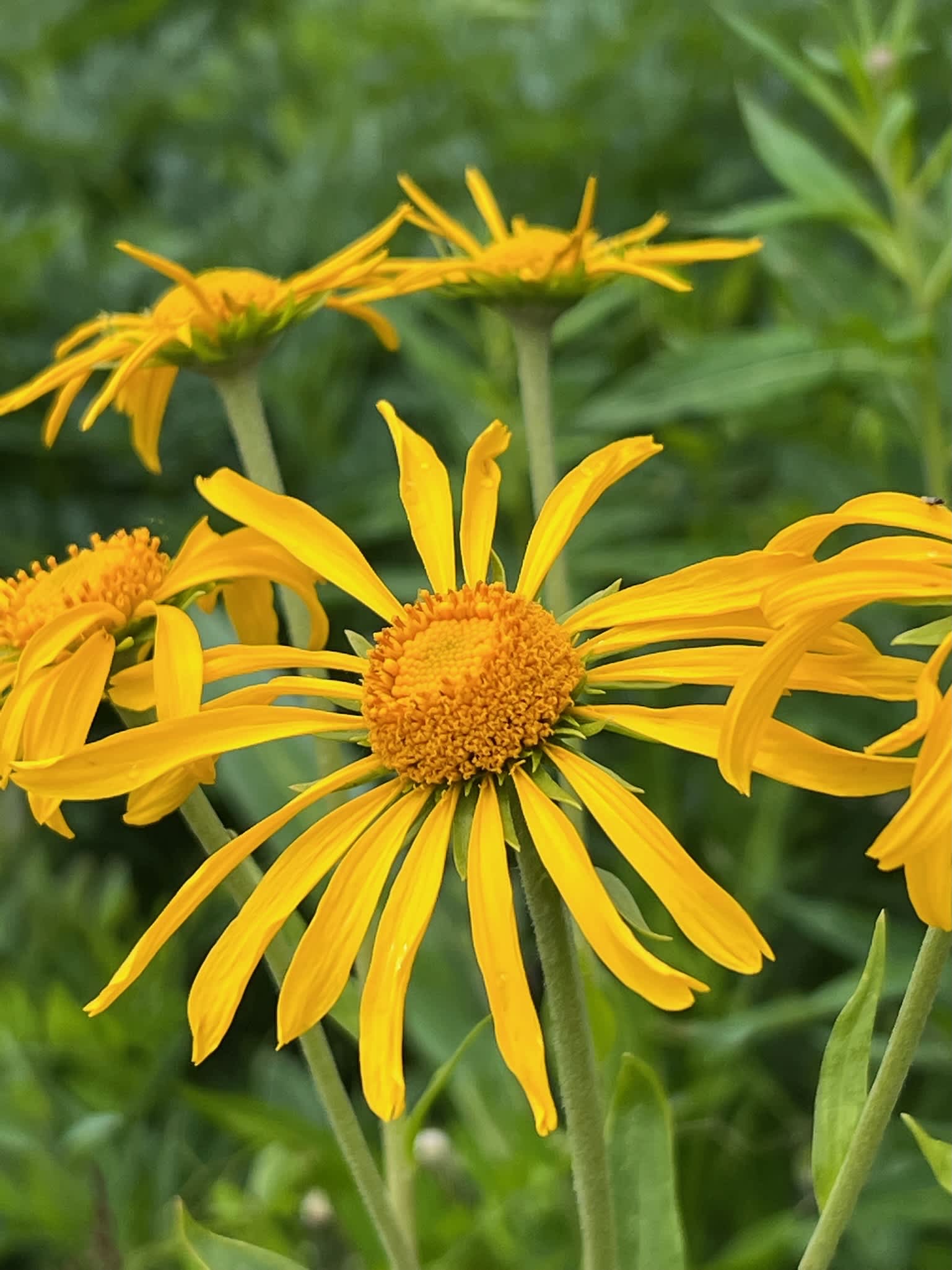 Getting Ready to Write