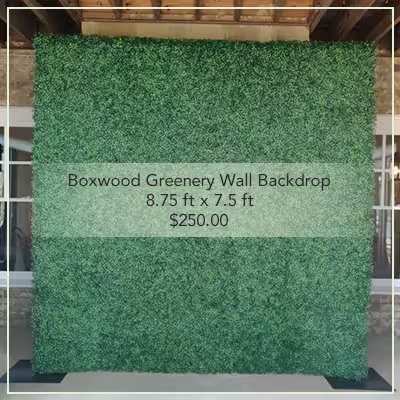Flower Mill Boxwood Backdrop wedding rental