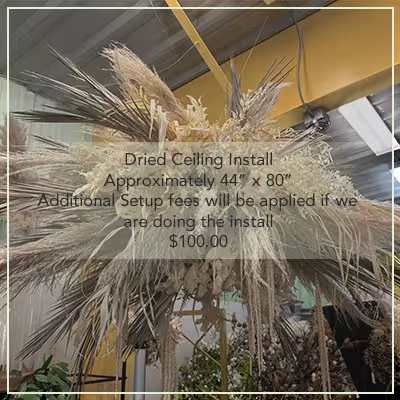 Dried Ceiling Installation Wedding Rental