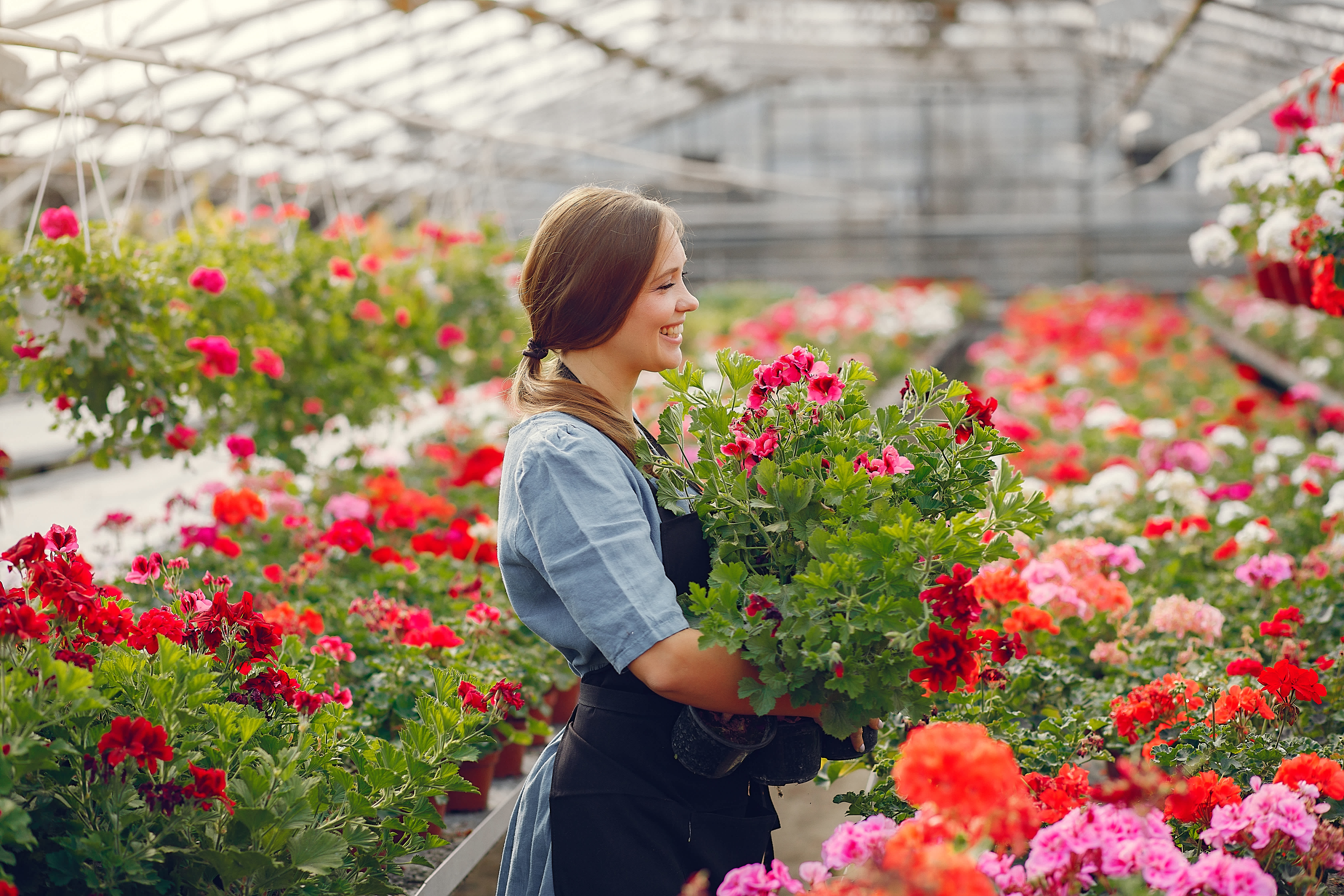 The Freshest Flowers in San Jose