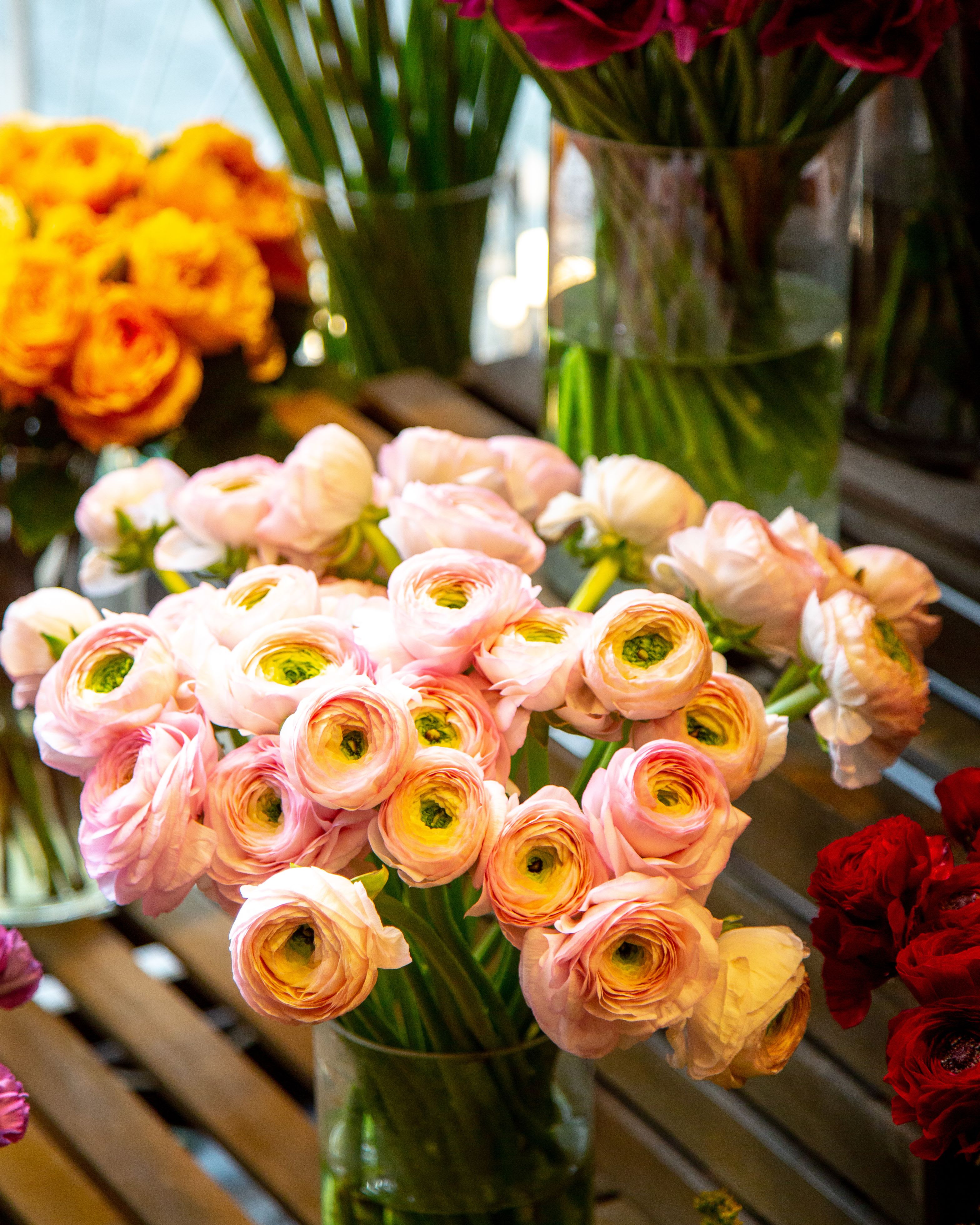 Fresh Flowers, Fresh Look: Big Changes are Growing